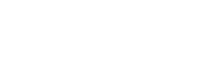 SBS-SEN — bezpečnostná služba